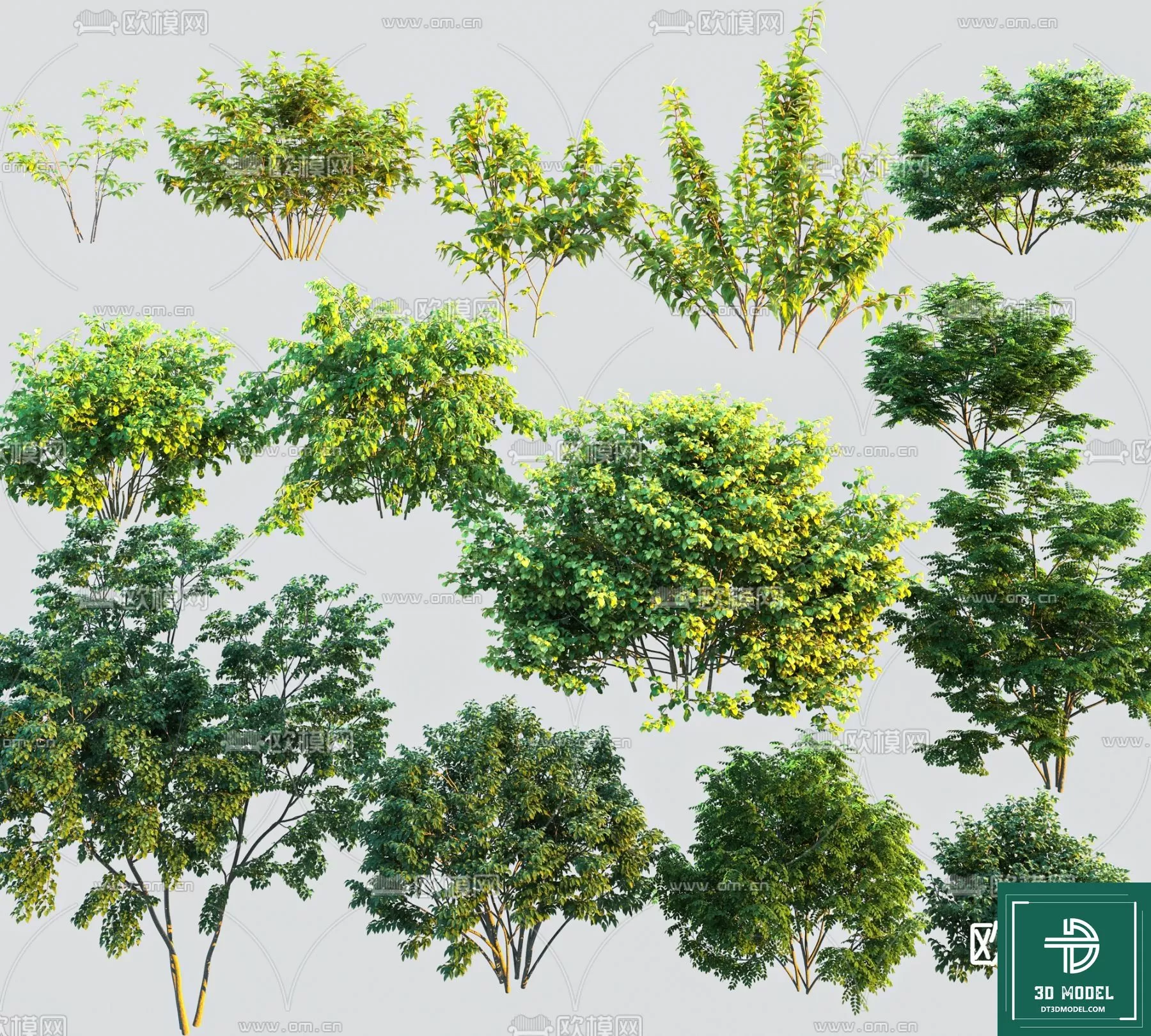 EXTERIOR – TREE – 3D MODELS – 200