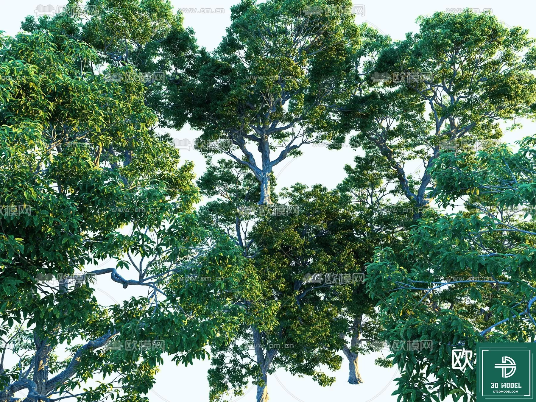 EXTERIOR – TREE – 3D MODELS – 209