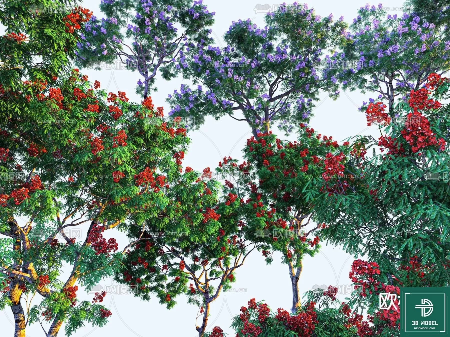 EXTERIOR – TREE – 3D MODELS – 211