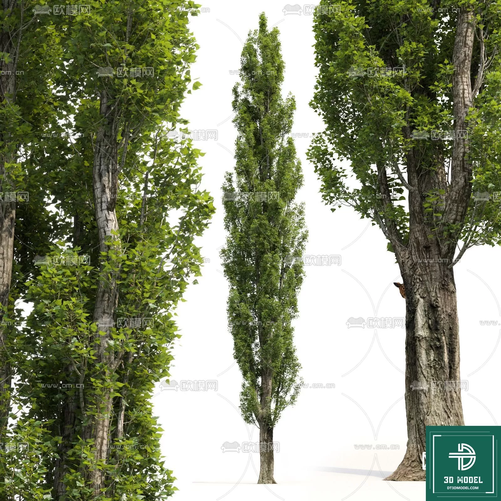 EXTERIOR – TREE – 3D MODELS – 214