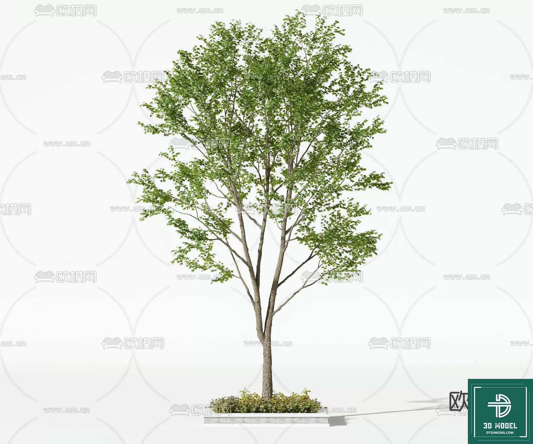EXTERIOR – TREE – 3D MODELS – 217