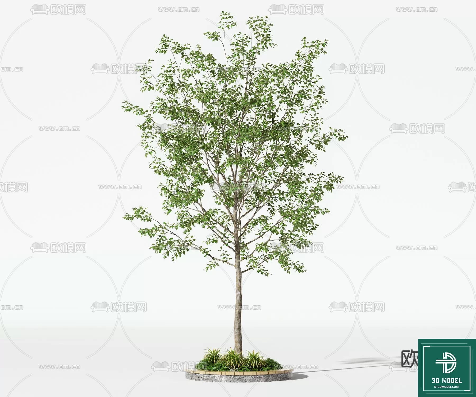 EXTERIOR – TREE – 3D MODELS – 218