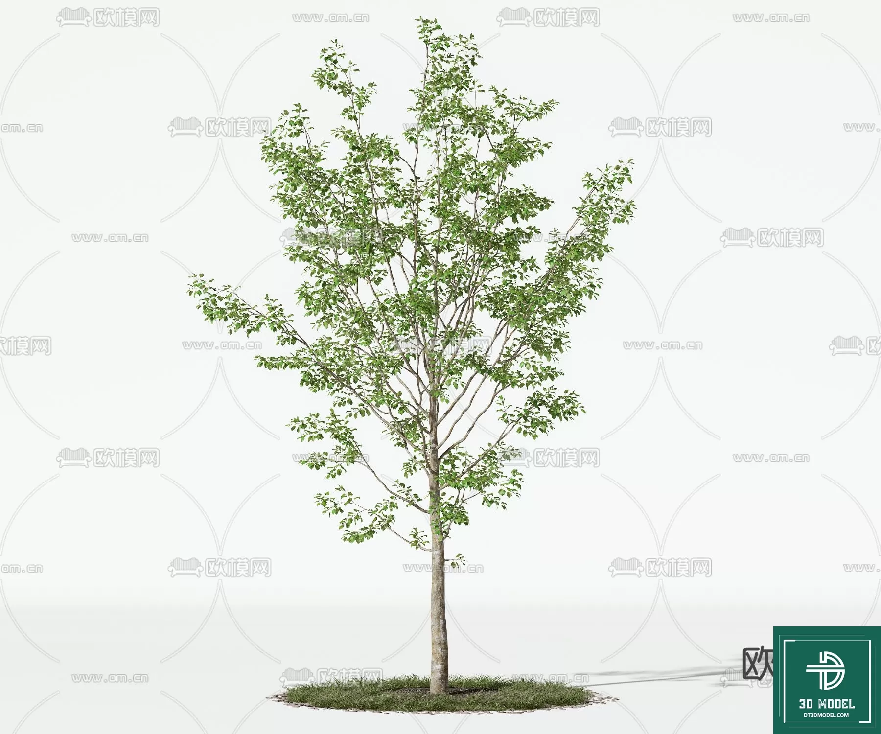 EXTERIOR – TREE – 3D MODELS – 219