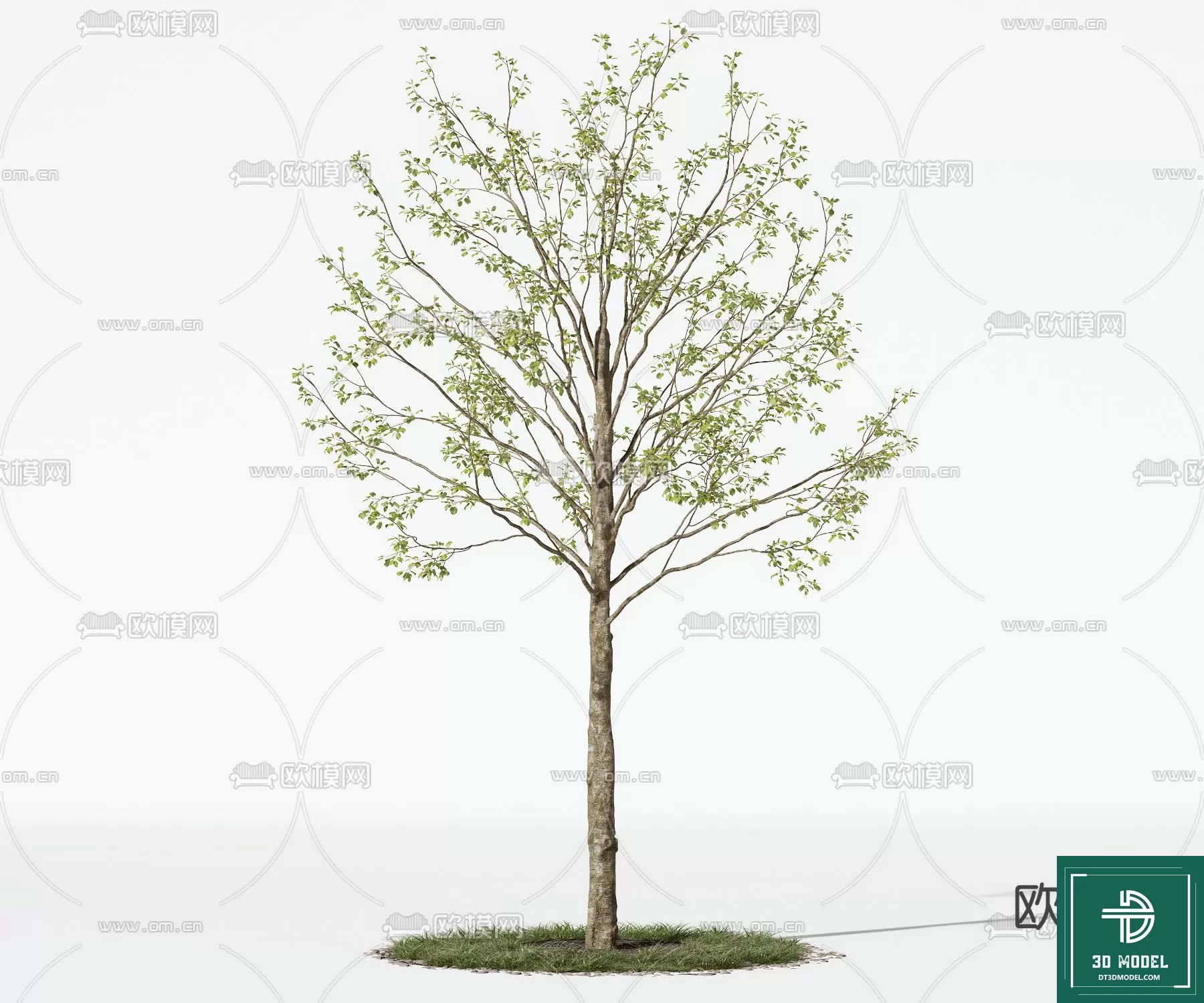 EXTERIOR – TREE – 3D MODELS – 220