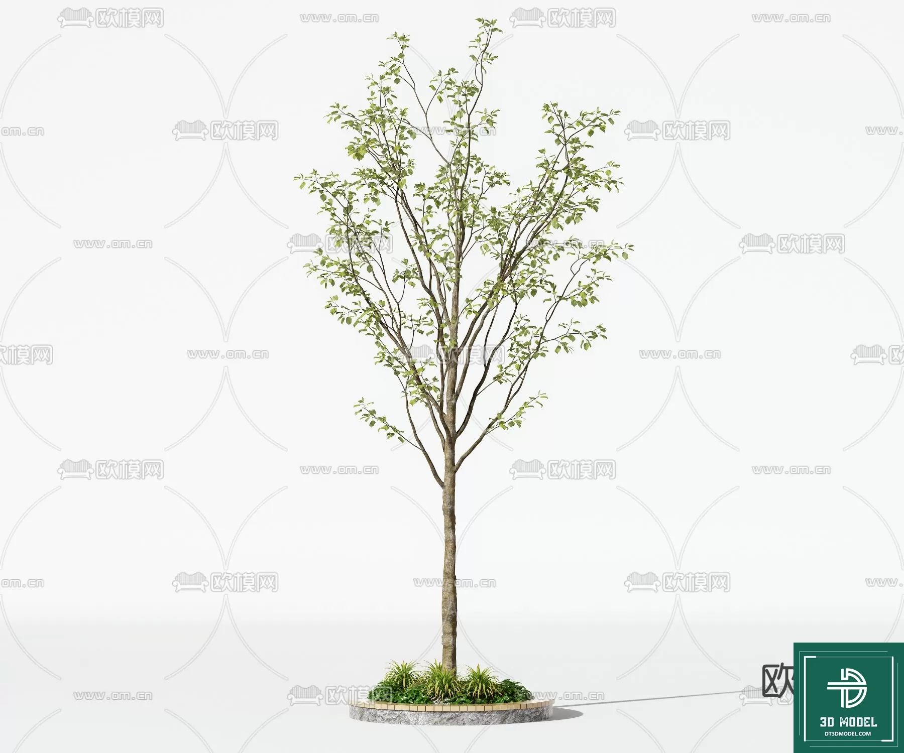 EXTERIOR – TREE – 3D MODELS – 222