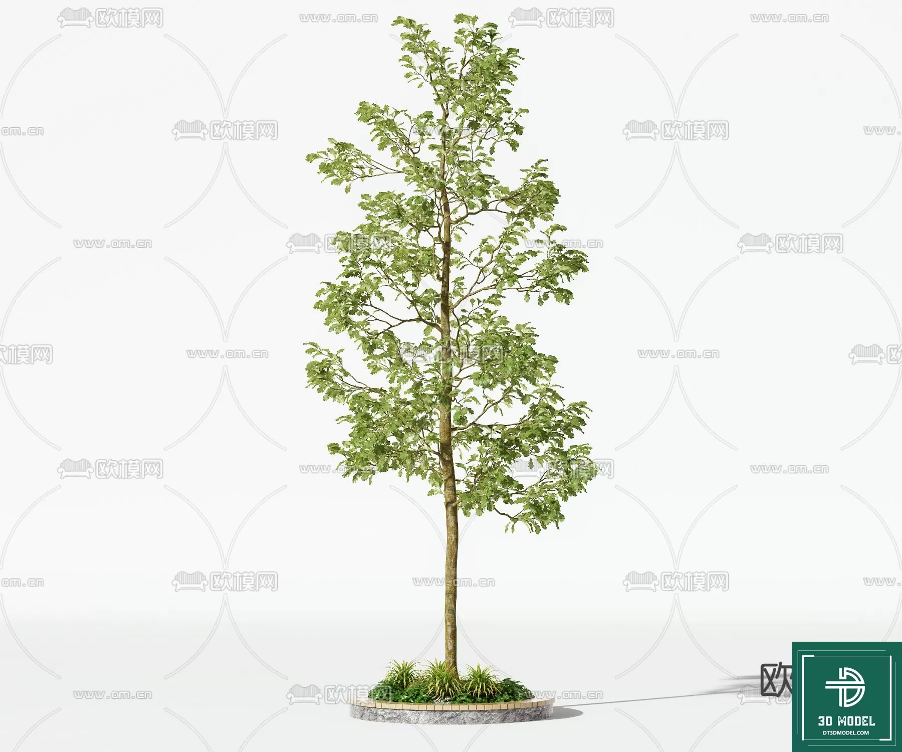 EXTERIOR – TREE – 3D MODELS – 223
