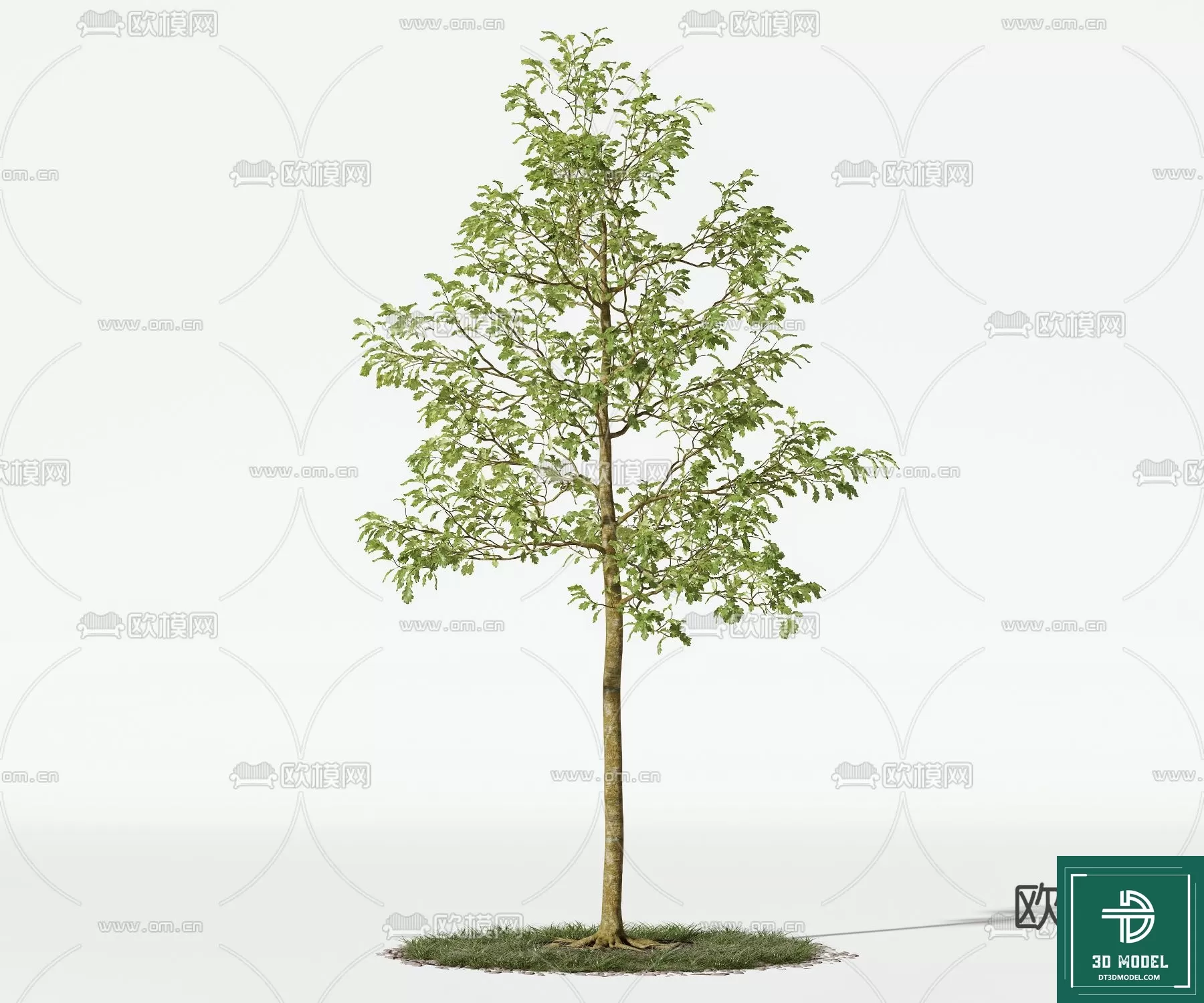 EXTERIOR – TREE – 3D MODELS – 224
