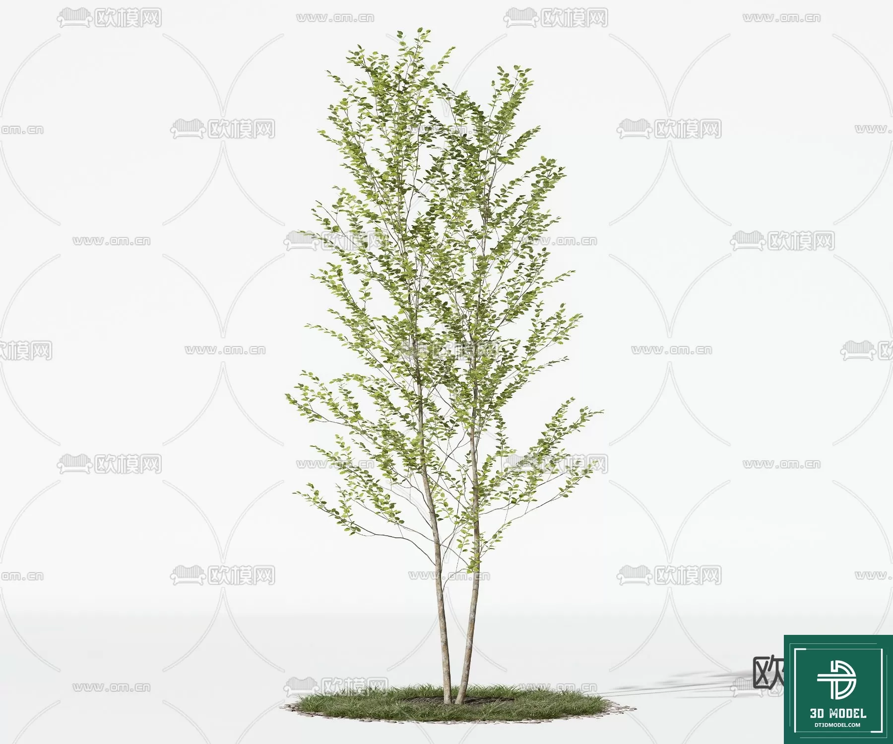 EXTERIOR – TREE – 3D MODELS – 225