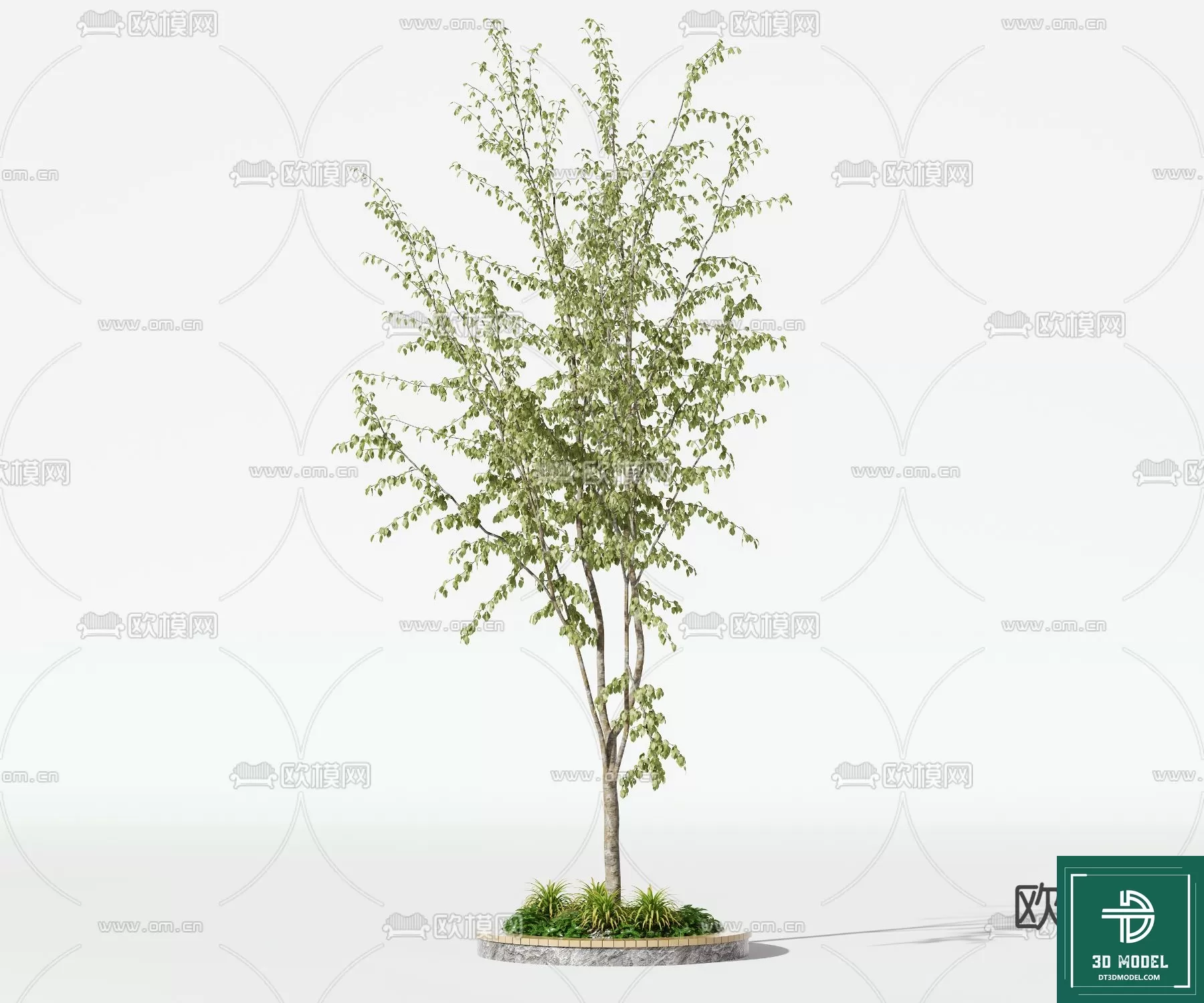 EXTERIOR – TREE – 3D MODELS – 226