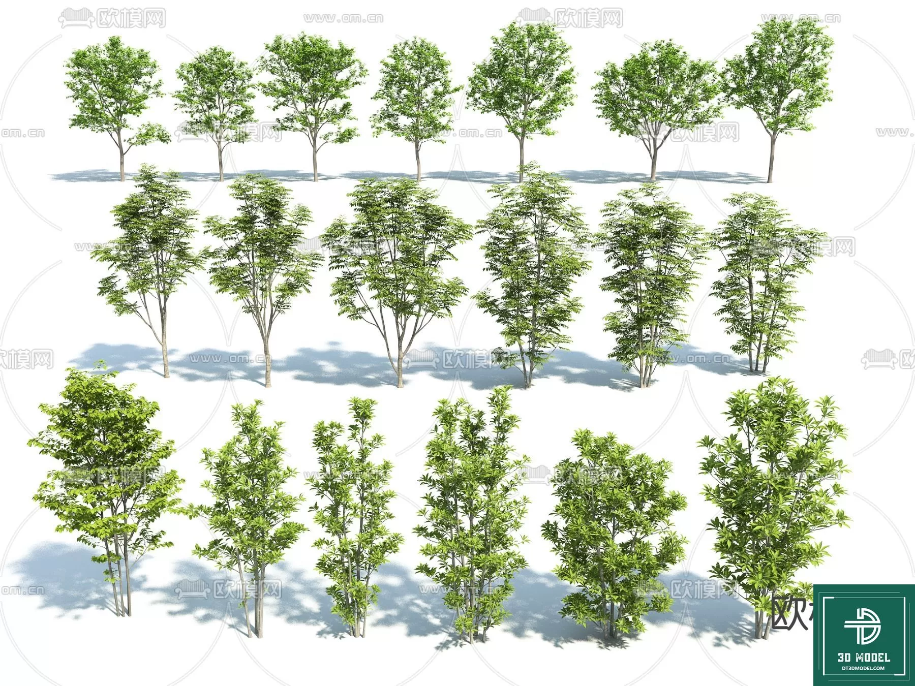 EXTERIOR – TREE – 3D MODELS – 228