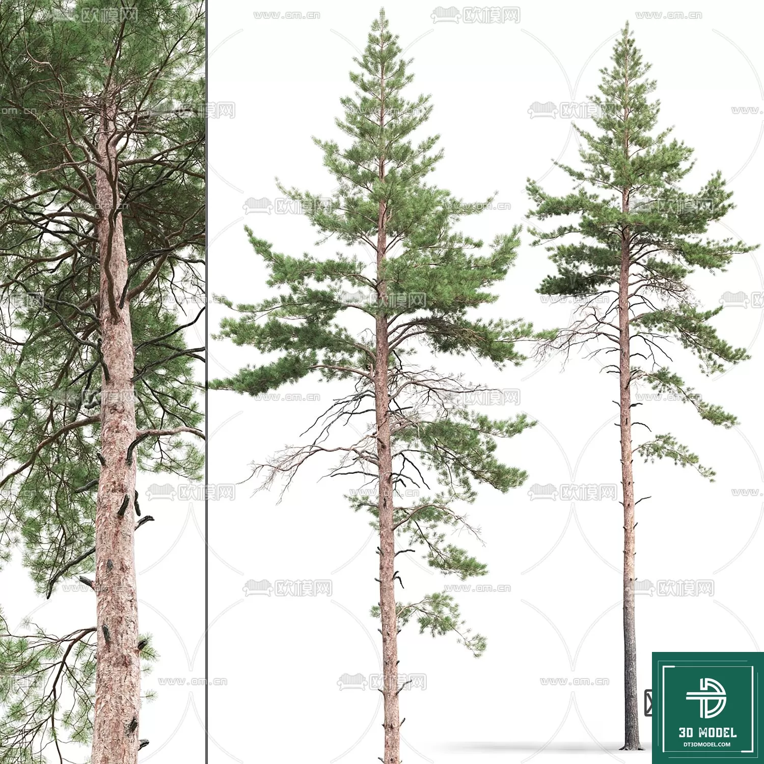 EXTERIOR – TREE – 3D MODELS – 229