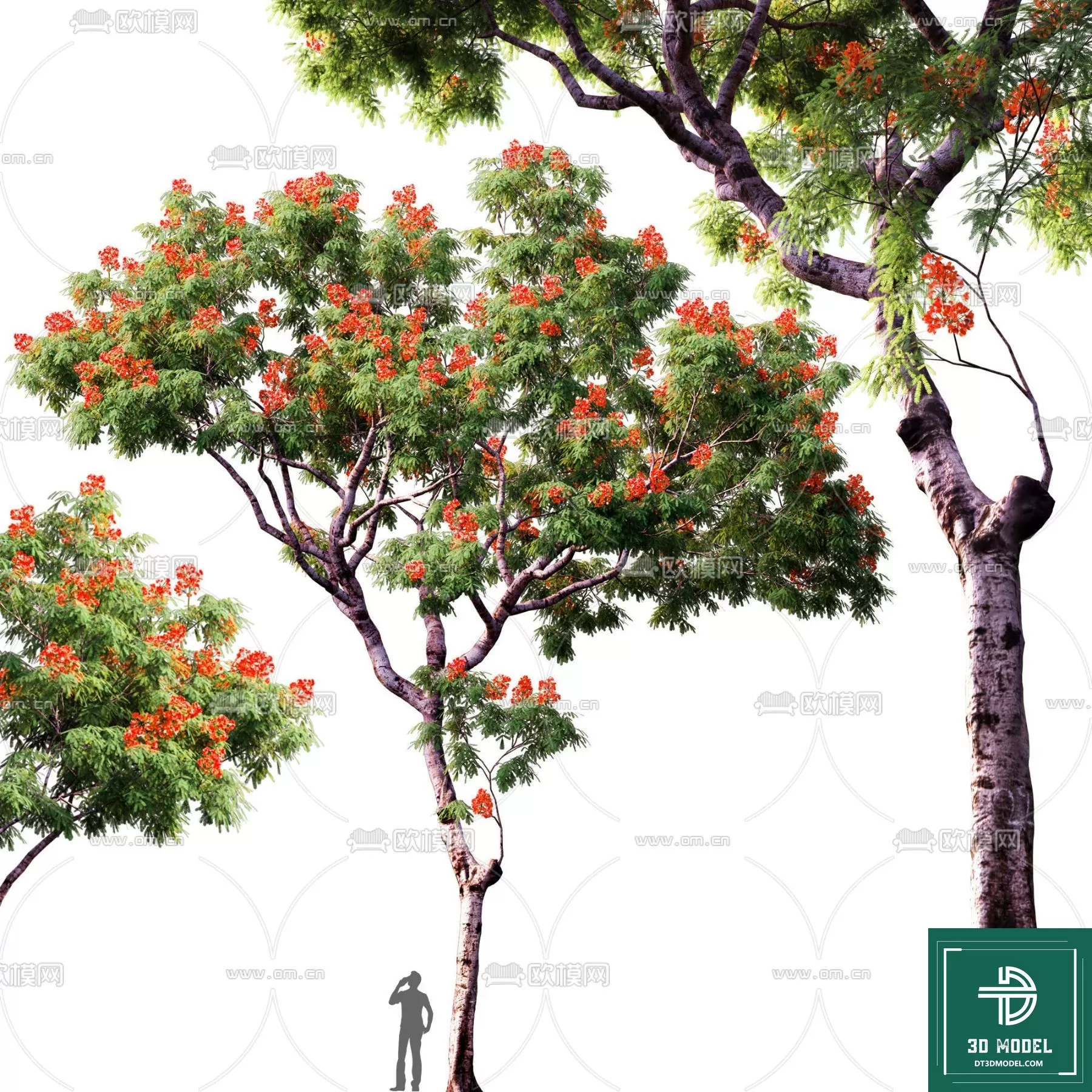 EXTERIOR – TREE – 3D MODELS – 230