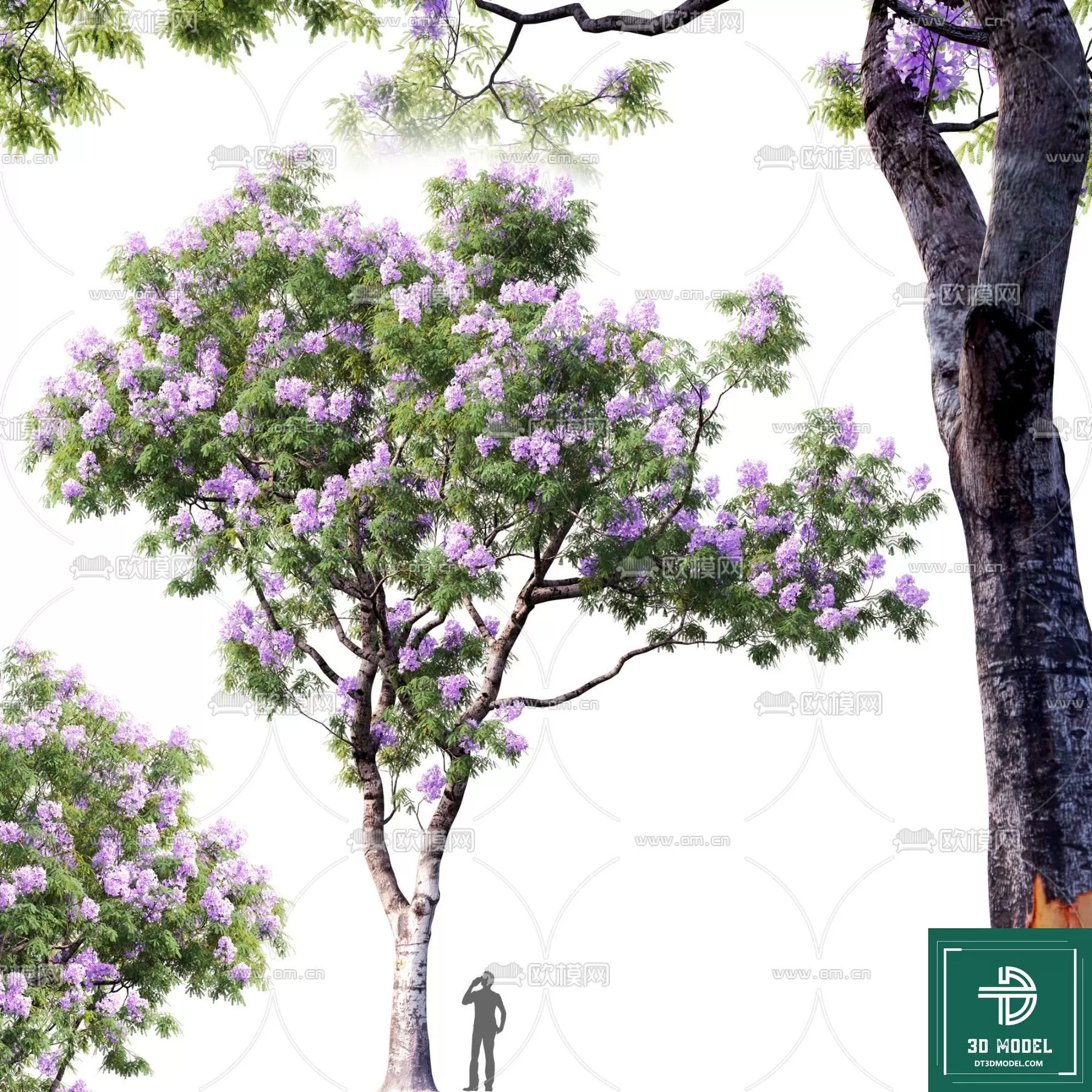 EXTERIOR – TREE – 3D MODELS – 231
