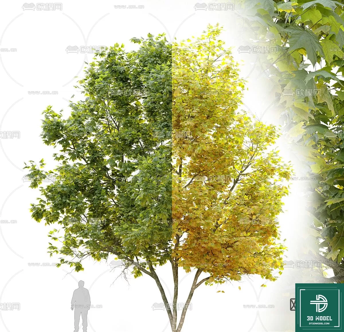 EXTERIOR – TREE – 3D MODELS – 233