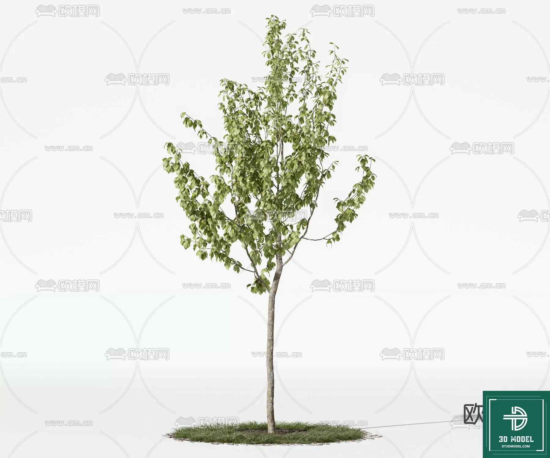 EXTERIOR – TREE – 3D MODELS – 237
