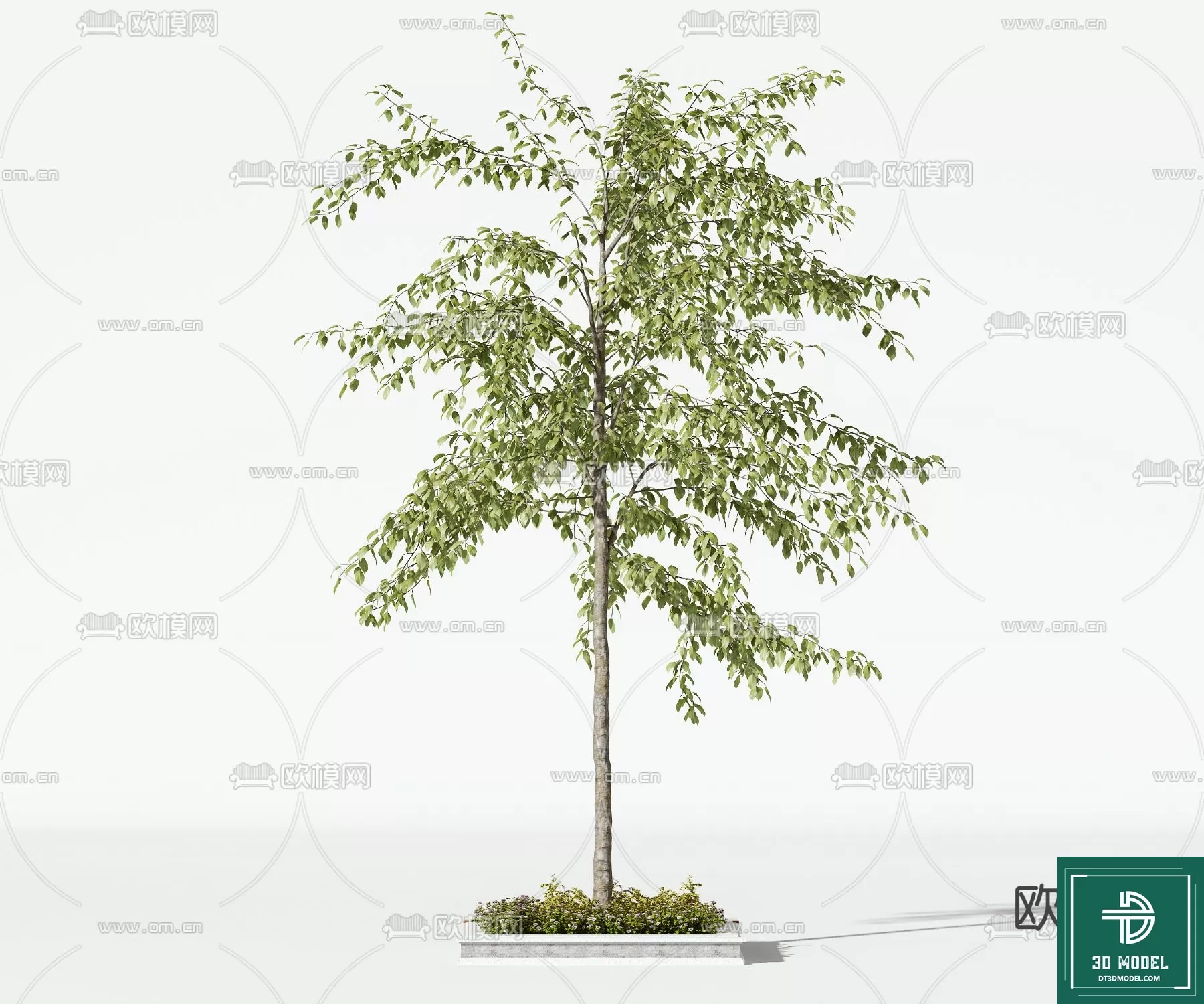 EXTERIOR – TREE – 3D MODELS – 238