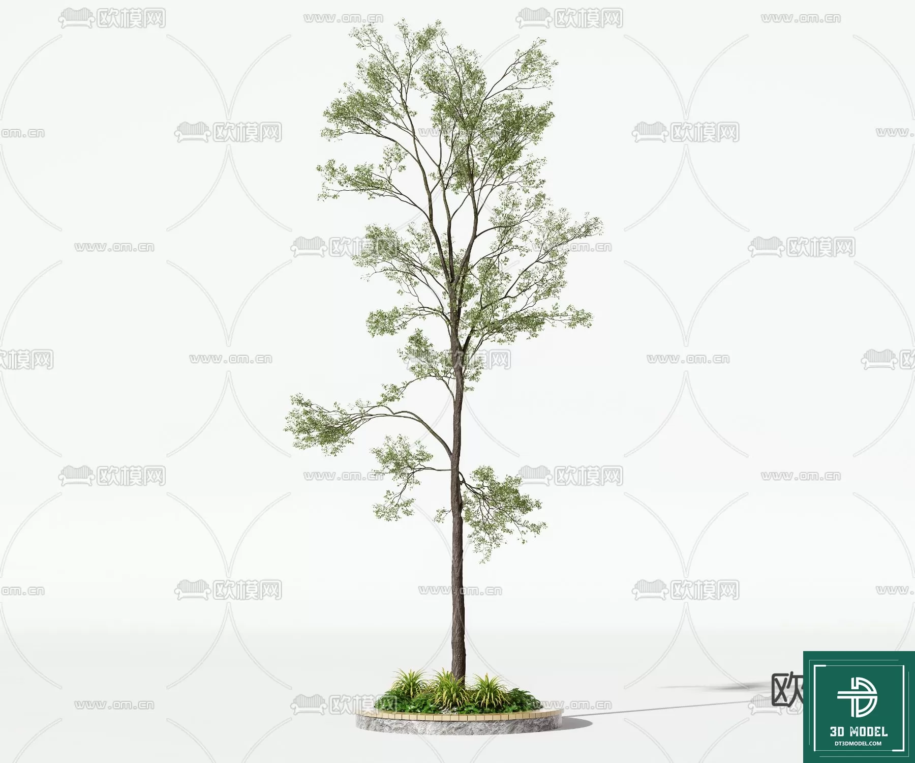 EXTERIOR – TREE – 3D MODELS – 239
