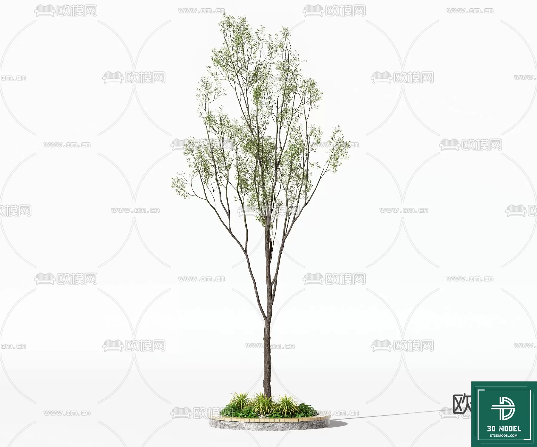 EXTERIOR – TREE – 3D MODELS – 240
