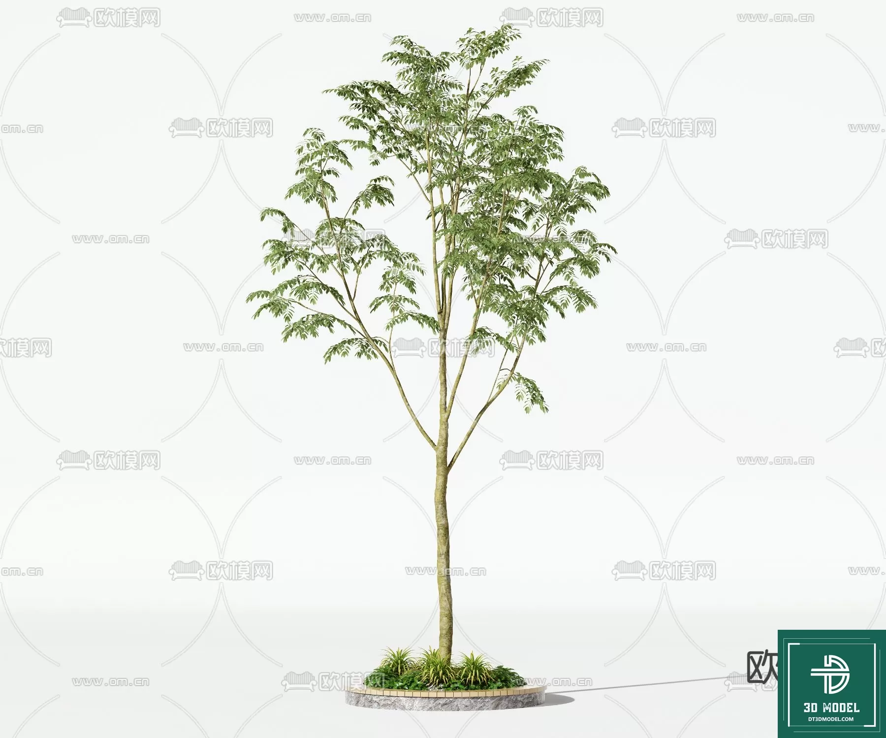 EXTERIOR – TREE – 3D MODELS – 241
