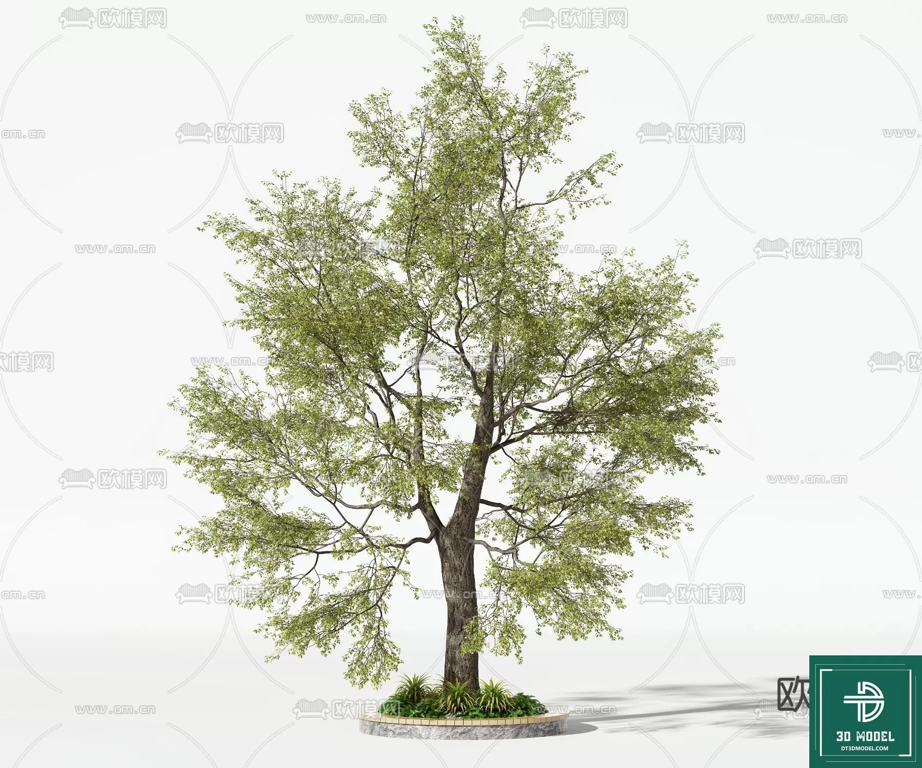 EXTERIOR – TREE – 3D MODELS – 242