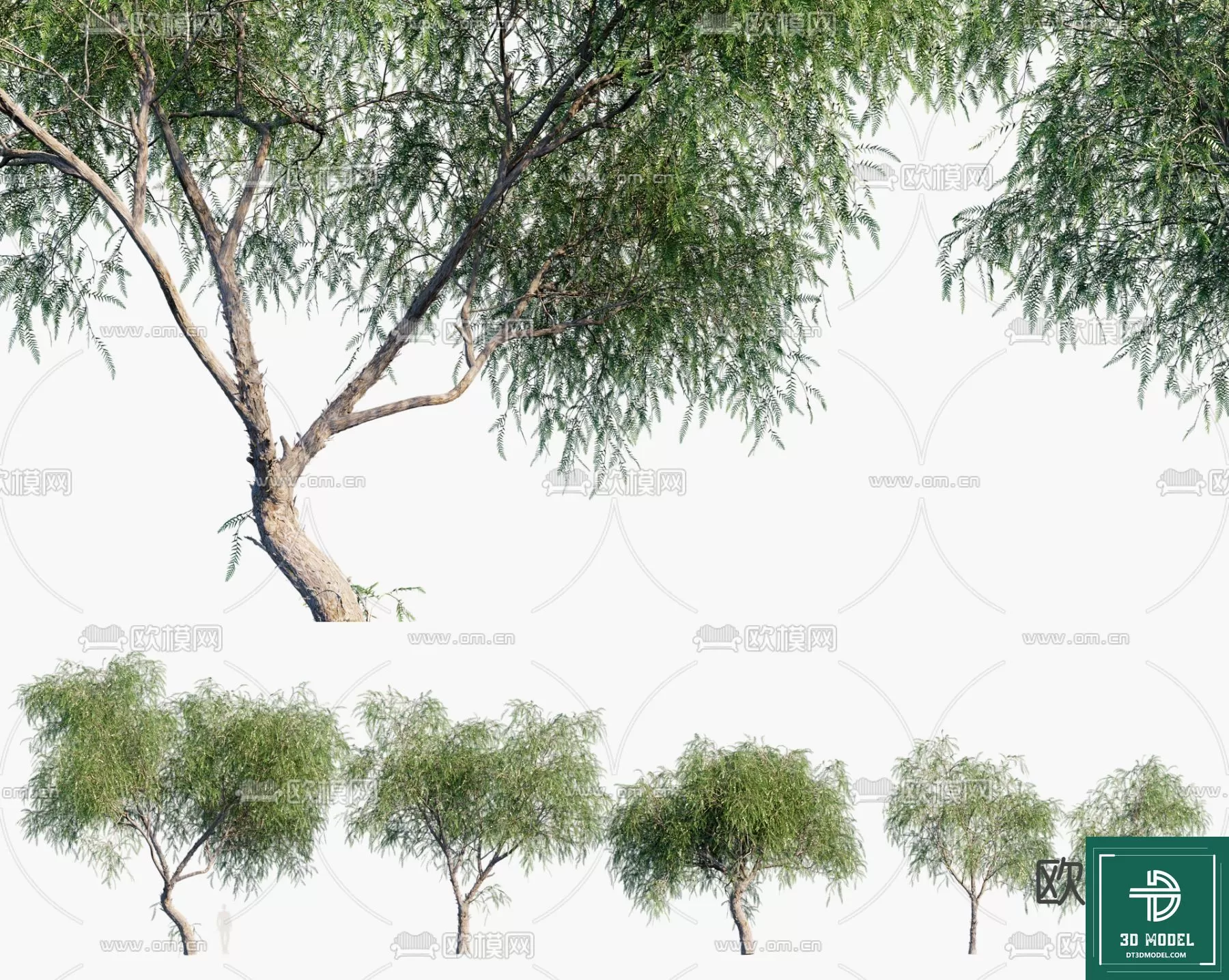EXTERIOR – TREE – 3D MODELS – 248