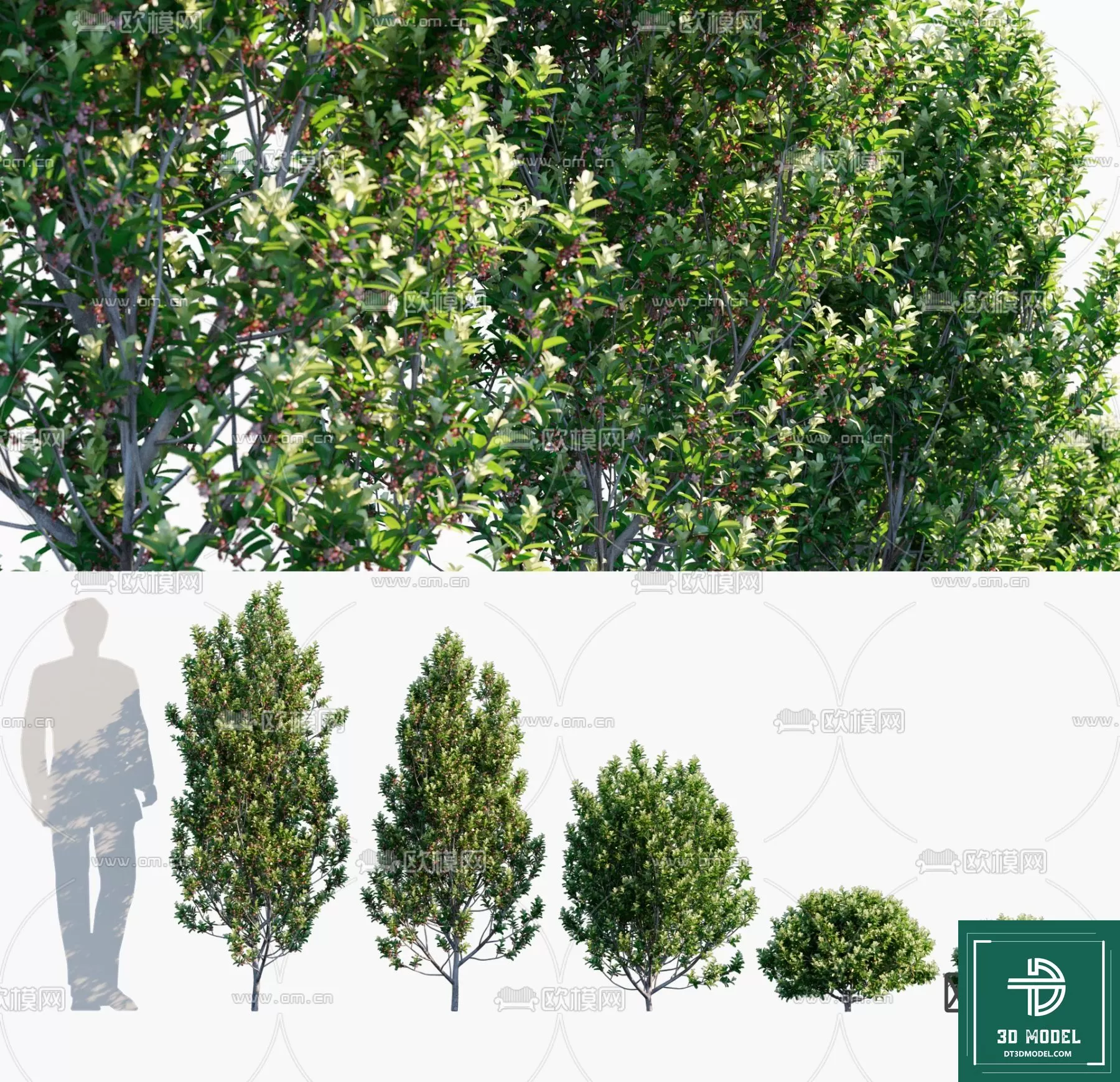 EXTERIOR – TREE – 3D MODELS – 249