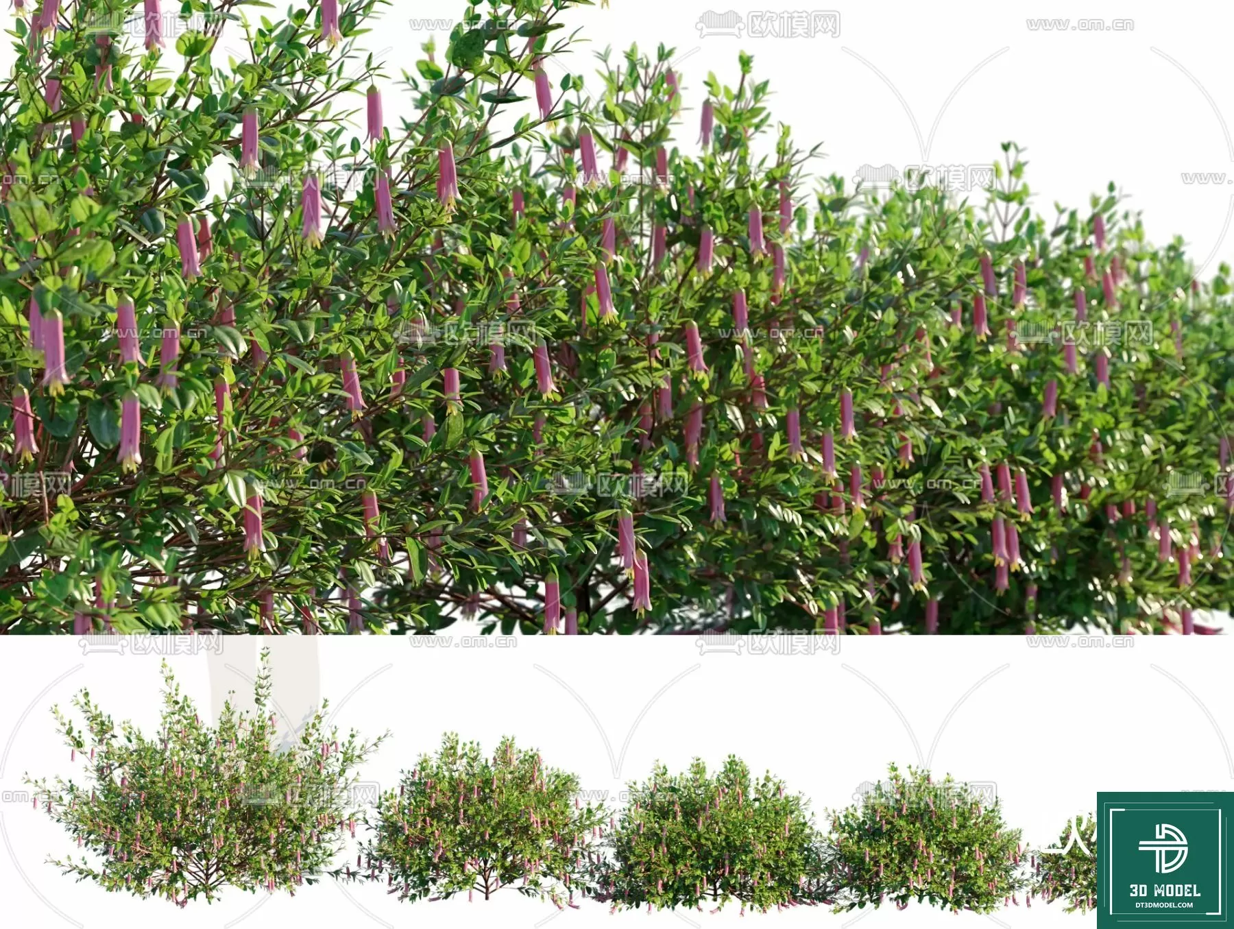 EXTERIOR – TREE – 3D MODELS – 250