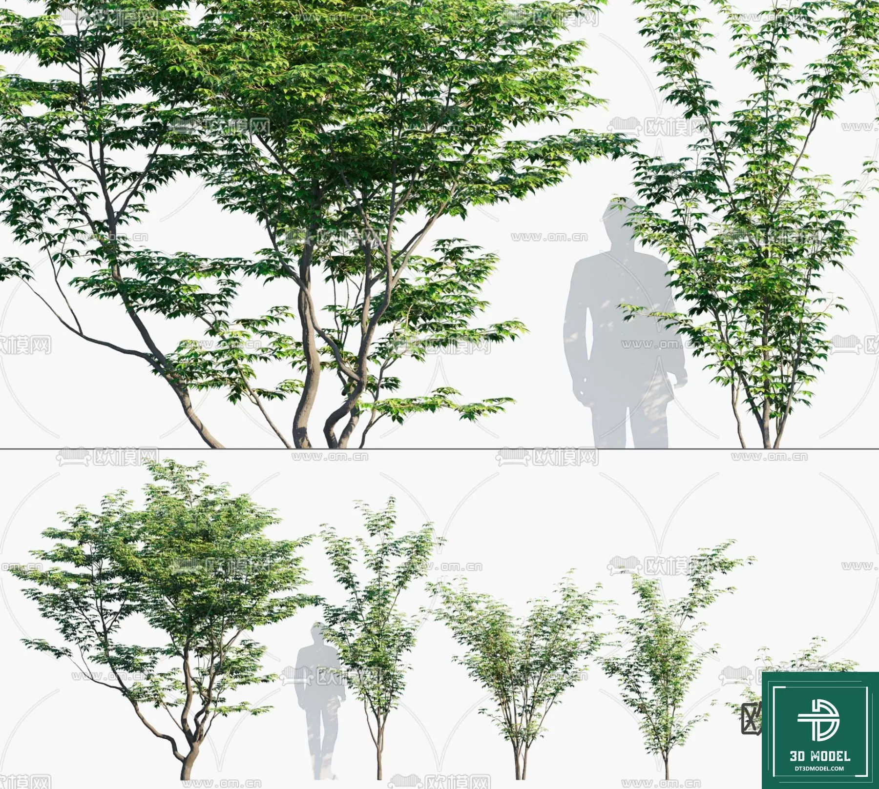 EXTERIOR – TREE – 3D MODELS – 252