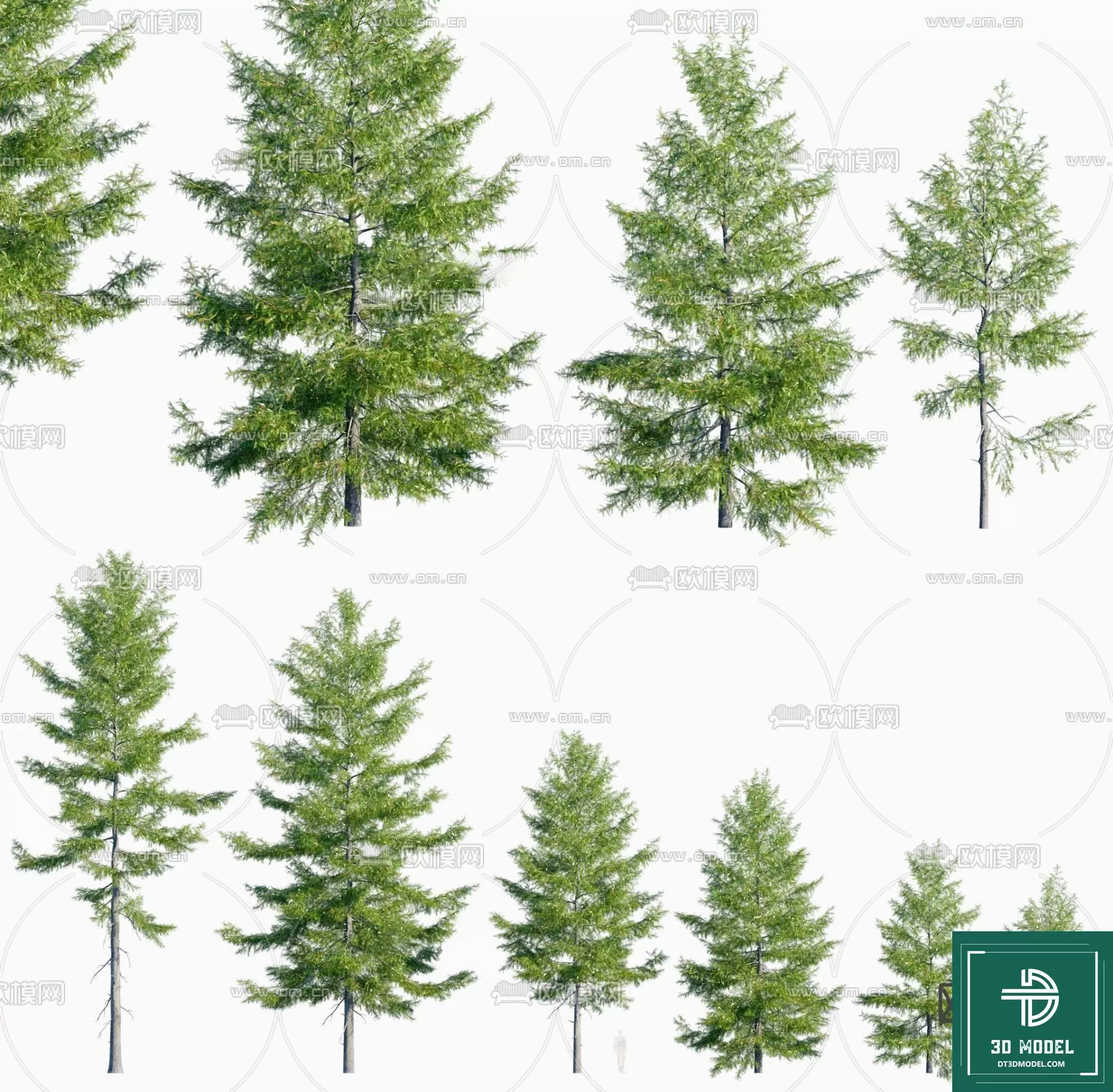EXTERIOR – TREE – 3D MODELS – 254