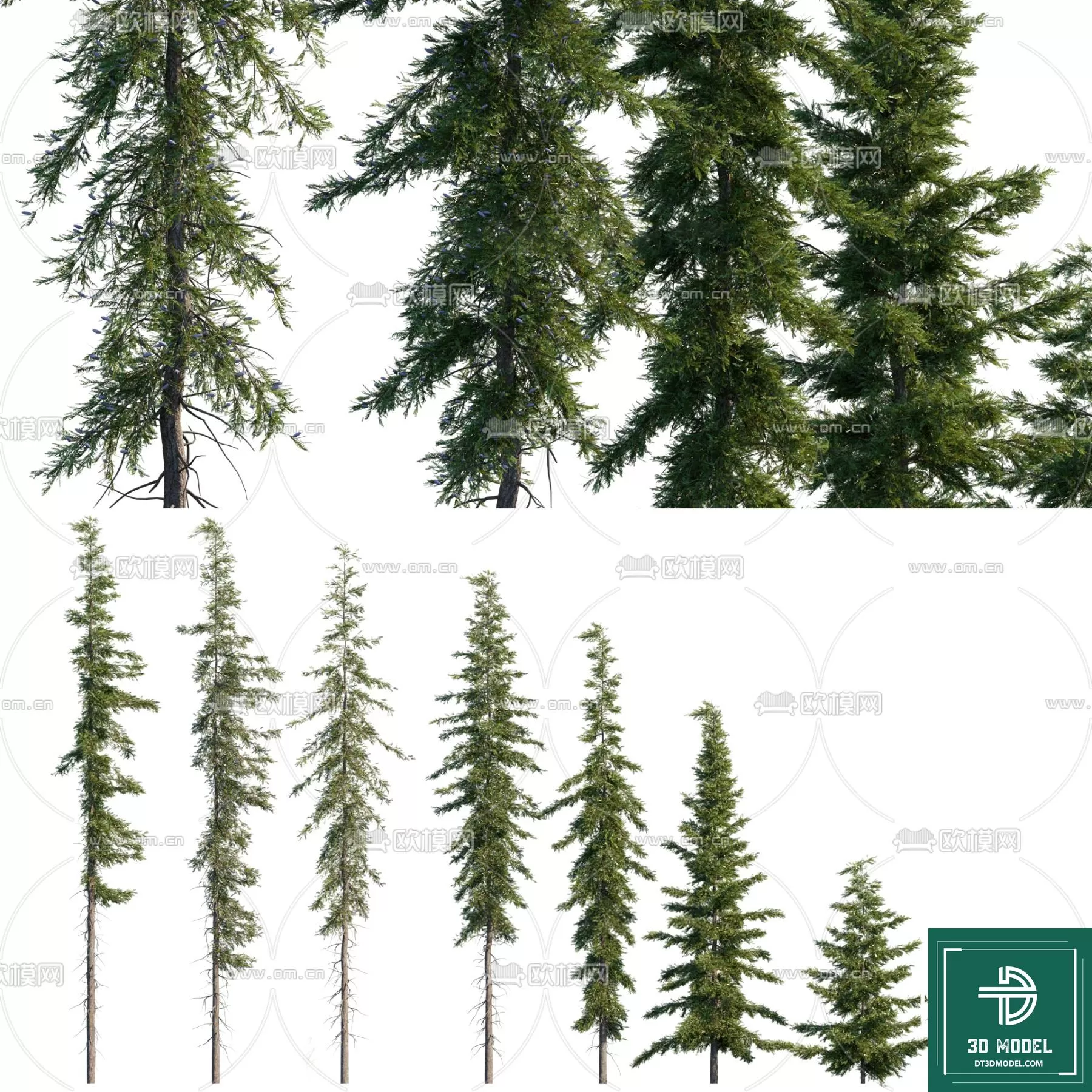 EXTERIOR – TREE – 3D MODELS – 256