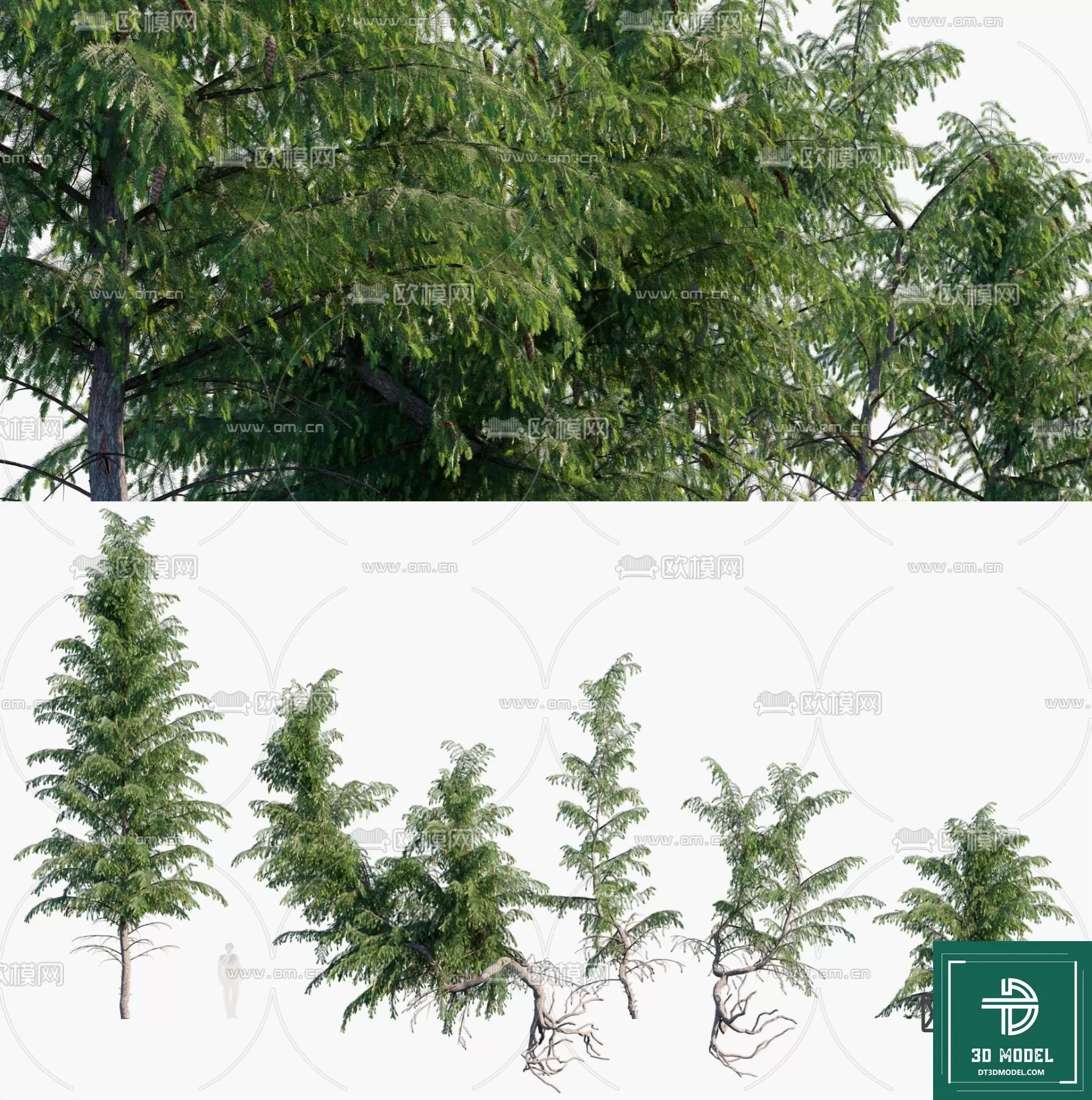 EXTERIOR – TREE – 3D MODELS – 257