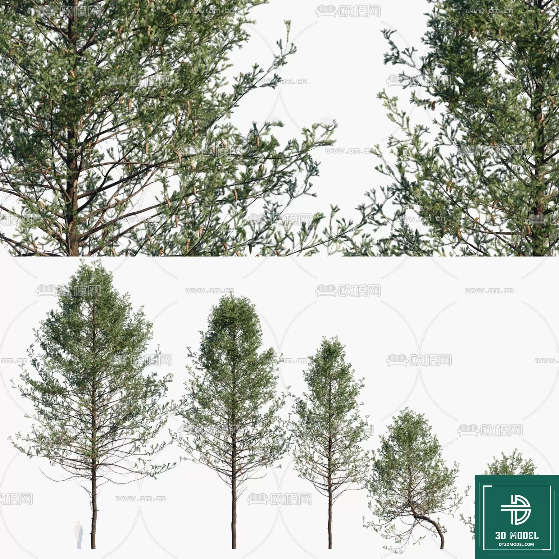 EXTERIOR – TREE – 3D MODELS – 258