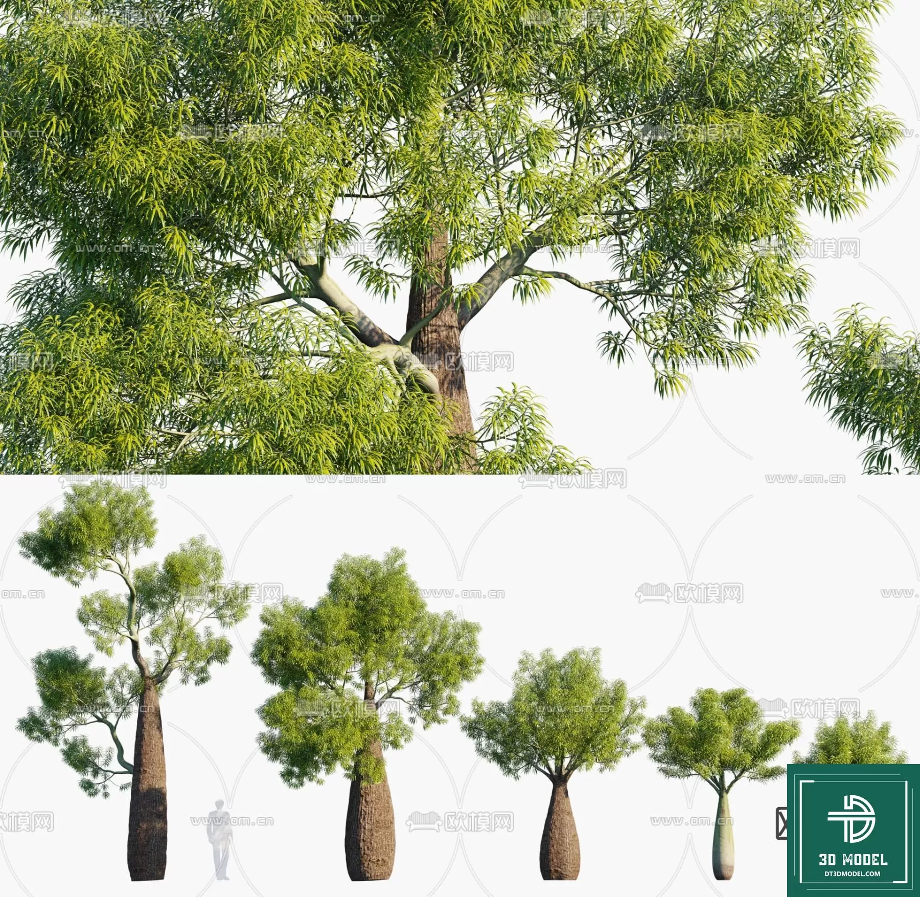 EXTERIOR – TREE – 3D MODELS – 260