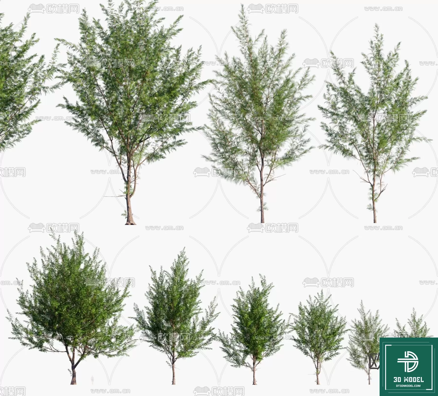 EXTERIOR – TREE – 3D MODELS – 263