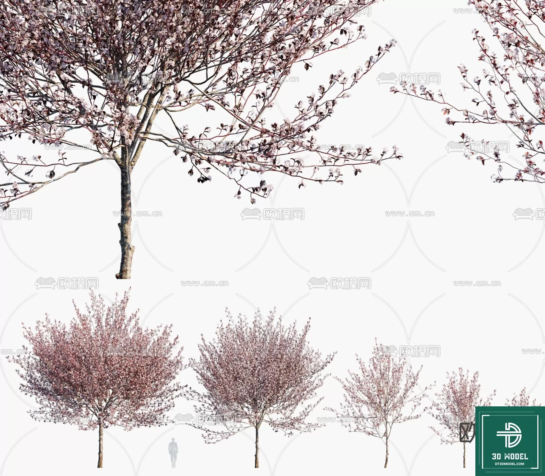 EXTERIOR – TREE – 3D MODELS – 276