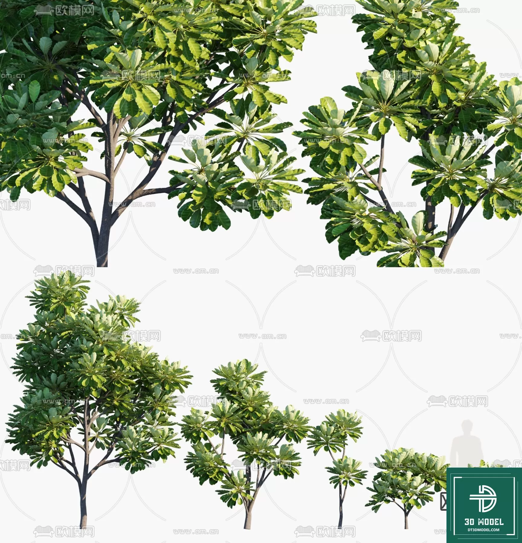 EXTERIOR – TREE – 3D MODELS – 289