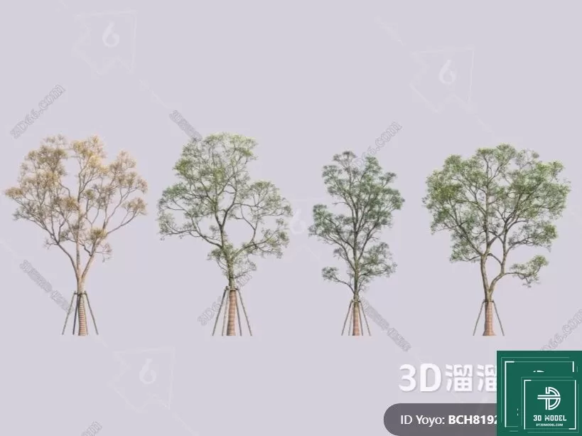 EXTERIOR – TREE – 3D MODELS – 301
