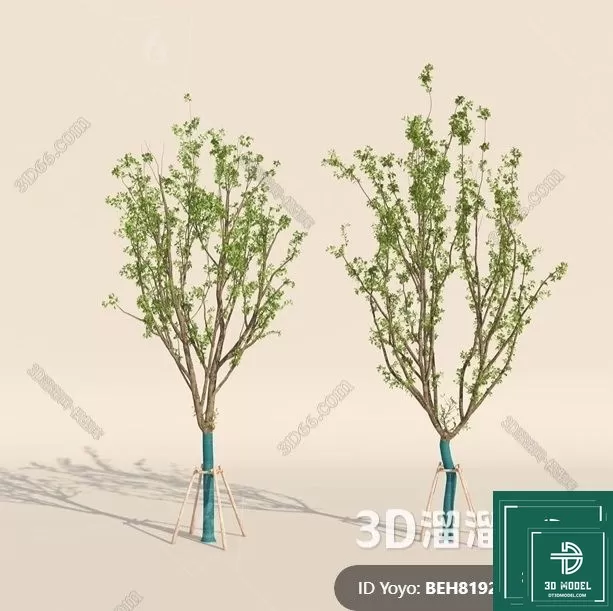 EXTERIOR – TREE – 3D MODELS – 307