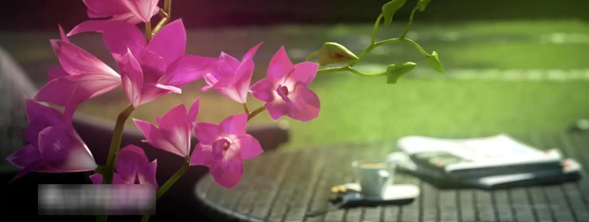 EXTERIOR – ANIMATION – 3DS MAX – 219