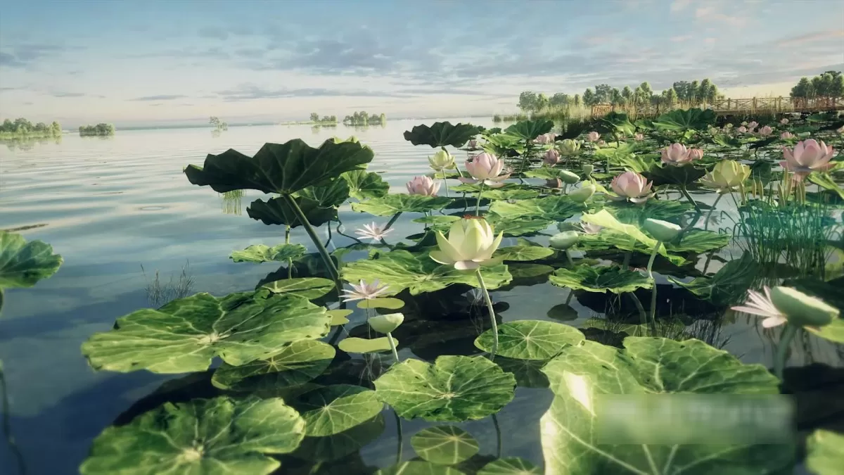 EXTERIOR – ANIMATION – 3DS MAX – 370 EXTERIOR – ANIMATION – 3DS MAX – 370