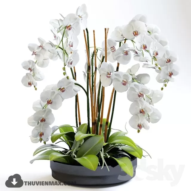 FLOWER POTS – 3DMODELS – 3DSKY – 014 FLOWER POTS – 3DMODELS – 3DSKY – 014