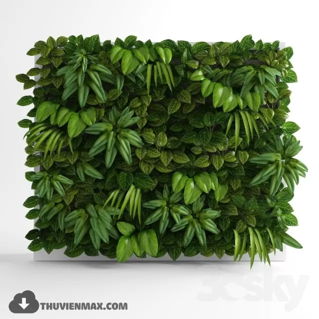 WALL PLANTS – 3DMODEL – 03 WALL PLANTS – 3DMODEL – 03