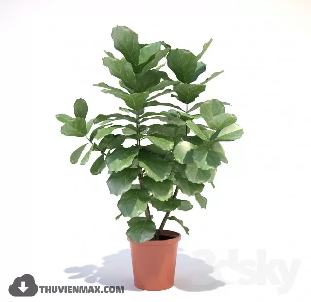 PLANTS – 3DSKY MODEL – 02 PLANTS – 3DSKY MODEL – 02