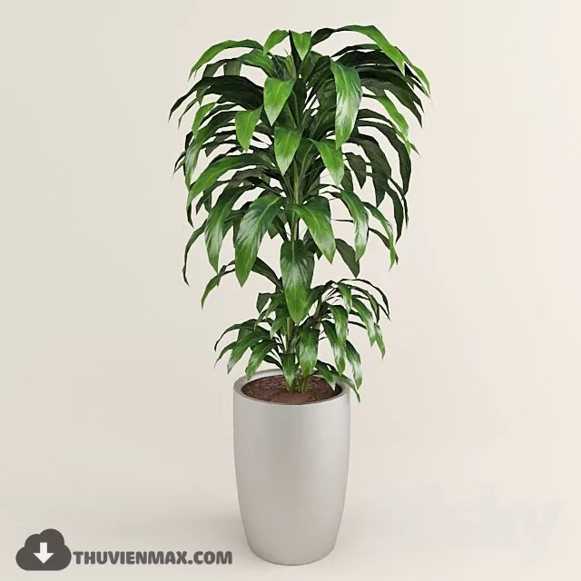 PLANTS – 3DSKY MODEL – 04 PLANTS – 3DSKY MODEL – 04