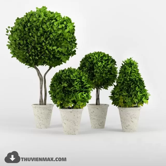 PLANTS – 3DSKY MODEL – 05 PLANTS – 3DSKY MODEL – 05