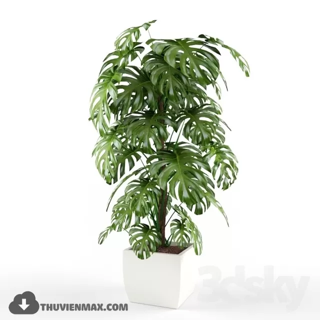 PLANTS – 3DSKY MODEL – 07 PLANTS – 3DSKY MODEL – 07