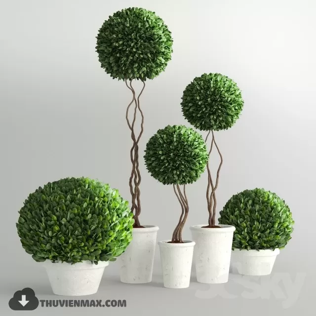 PLANTS – 3DSKY MODEL – 09 PLANTS – 3DSKY MODEL – 09