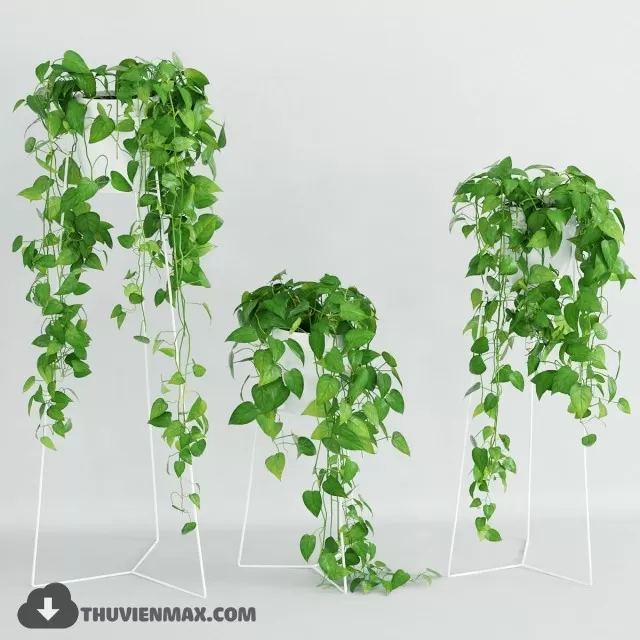 PLANTS – 3DSKY MODEL – 12 PLANTS – 3DSKY MODEL – 12