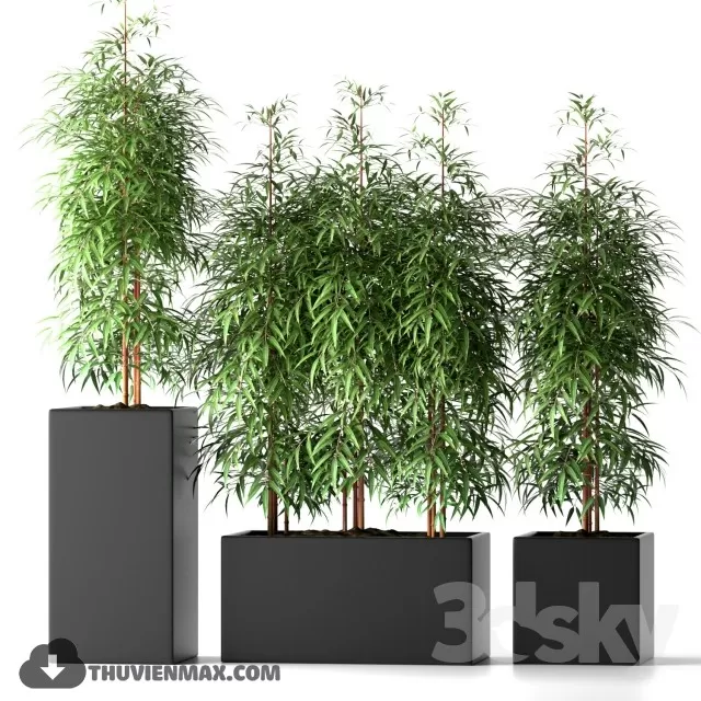 PLANTS – 3DSKY MODEL – 14 PLANTS – 3DSKY MODEL – 14