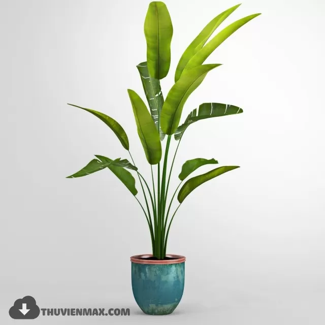 PLANTS – 3DSKY MODEL – 16 PLANTS – 3DSKY MODEL – 16
